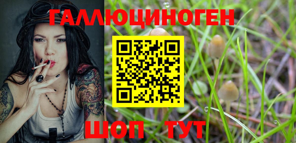 где продают   Вход с VPN  Каспийск  Галлюциногенные грибы Cubensis 