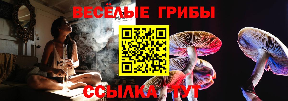 Псилоцибиновые грибы мухоморы Каспийск